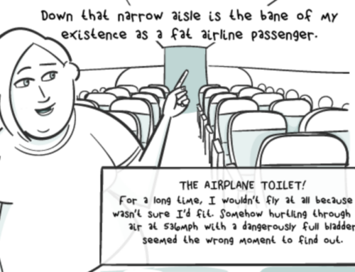 Flying While Fat – A Web Comic about Using the Airplane Toilet